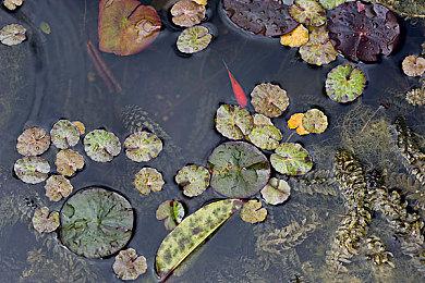 《星际公民》将大规模打击作弊者 不涉及Mod制作者